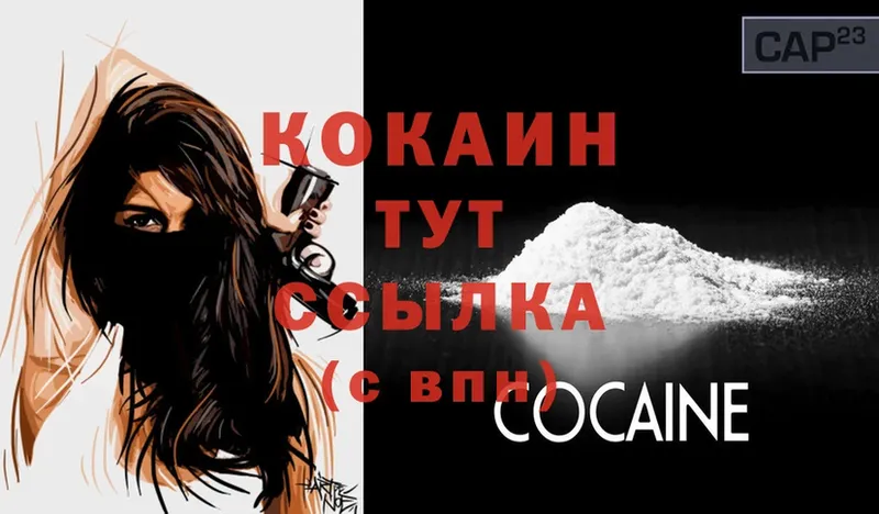 MEGA   Лахденпохья  COCAIN Fish Scale 